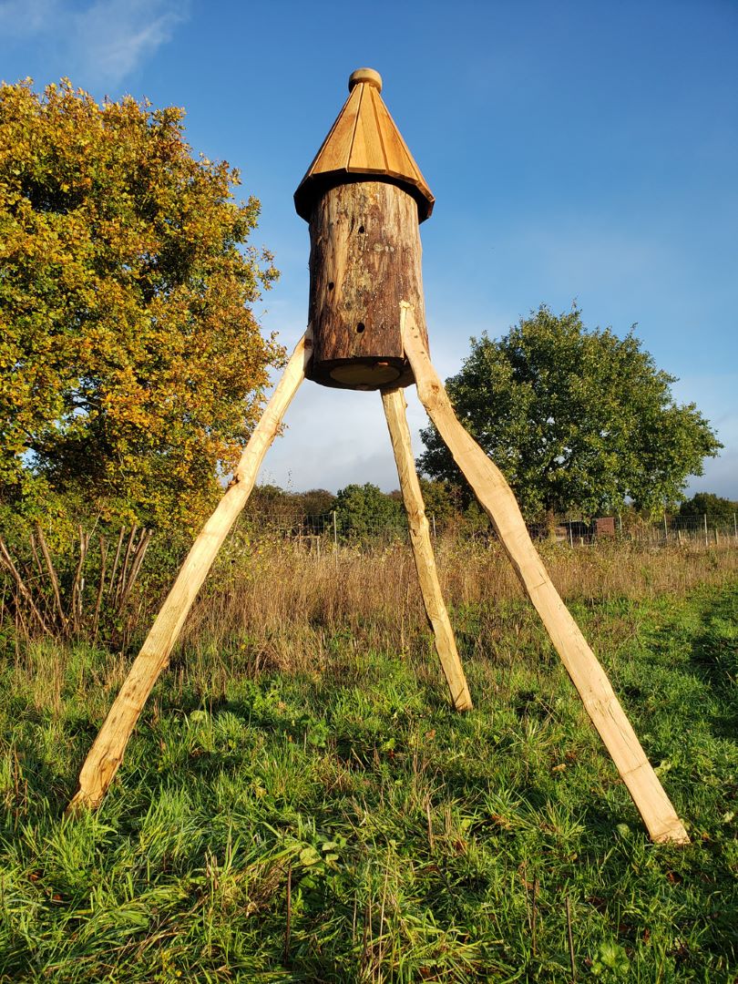 A log beehive raised on legs in a field — a hollowed tree trunk as permanent bee habitat