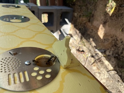 Beehive entrance with bees