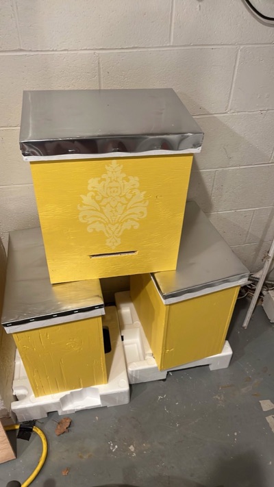 Finished swarm traps in workshop